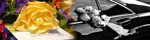 Tampa Funeral Sedan Rentals